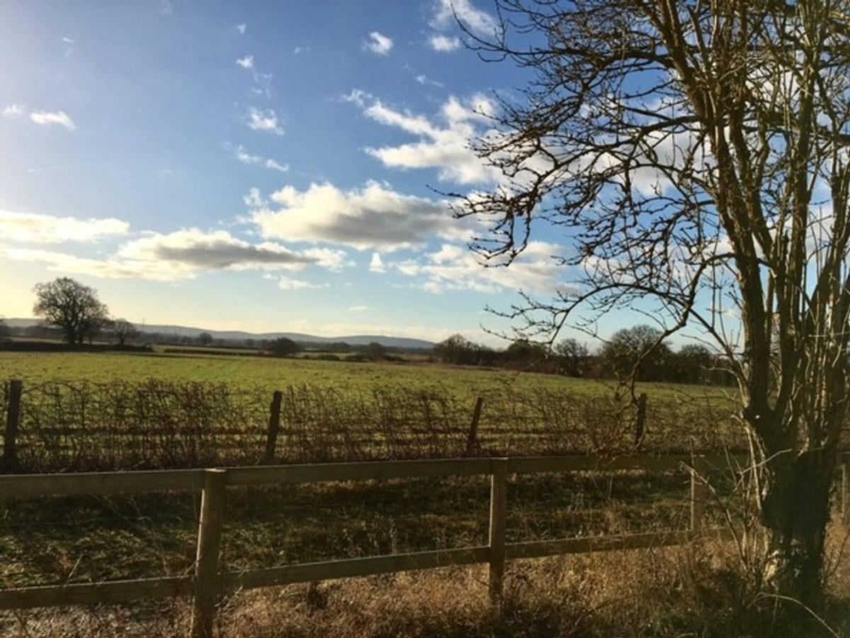 South Cottage - Rural Gem In The Heart Of The Sussex Countryside Twineham 外观 照片