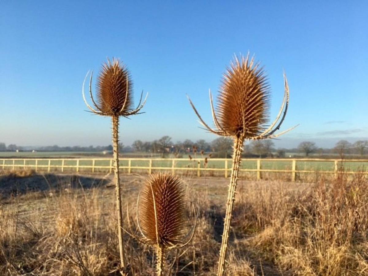 South Cottage - Rural Gem In The Heart Of The Sussex Countryside Twineham 外观 照片