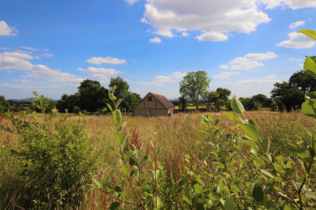 South Cottage - Rural Gem In The Heart Of The Sussex Countryside Twineham 外观 照片